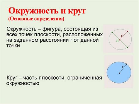 Окружность и круг: базовые определения и различия