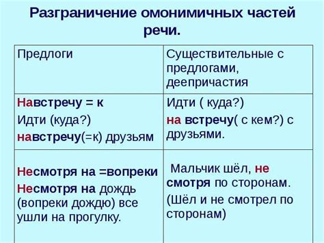 Омонимичные слова: понятие и примеры