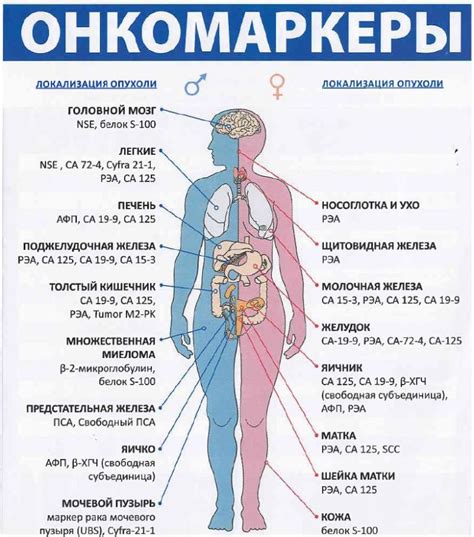 Онкомаркеры в медицине