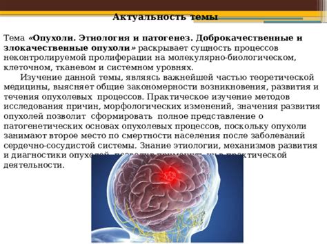 Онкоцитология: изучение опухолей