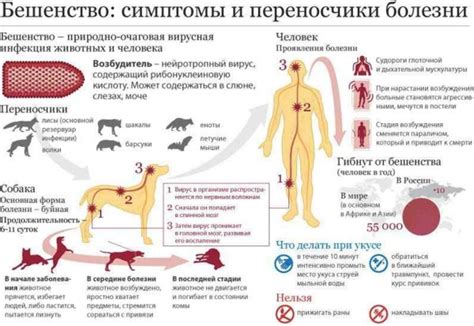 Опасения и предостережения