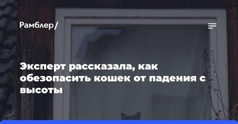 Опасность падения кошек с высоты