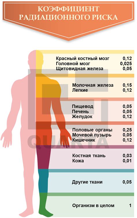 Опасность радиоактивного человека