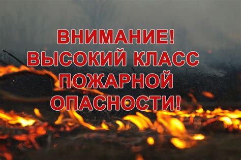 Опасные нечеловеческие создания: предупреждение о таинственных угрозах?