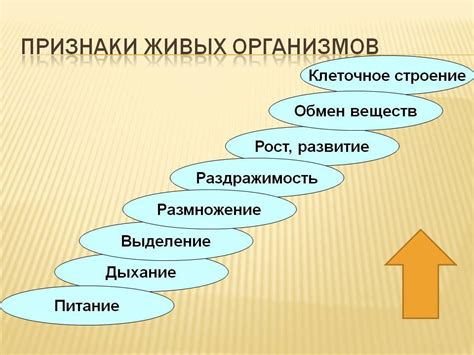 Оплакивание живого человека: основные признаки