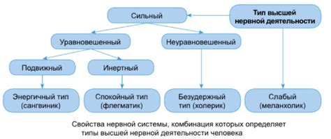 Определение ВНД и его расшифровка