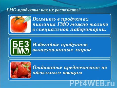 Определение ГМО-продуктов и их значение в пищевой промышленности