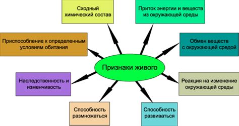 Определение жизни