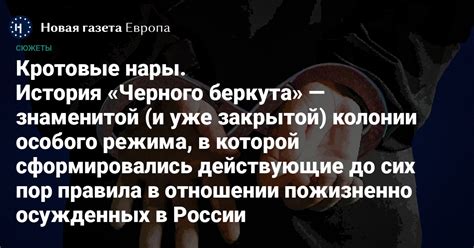 Определение и история нары