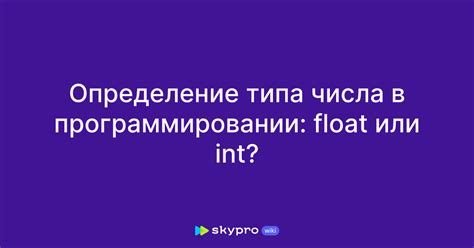 Определение и назначение типа float