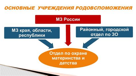 Определение и назначение учреждения родовспоможения