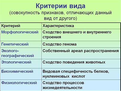 Определение и основные черты