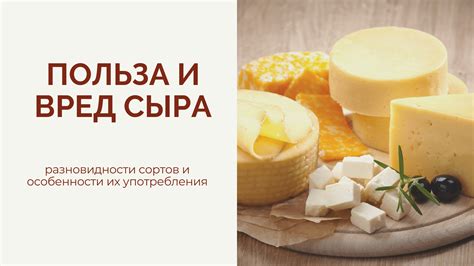 Определение и особенности санкционного сыра