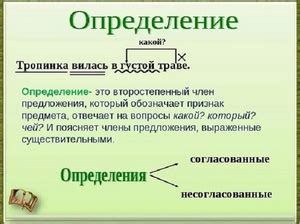 Определение и примеры использования понятия "не претерпела что это значит"