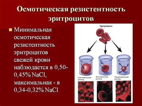 Определение и причины перекрестной резистентности