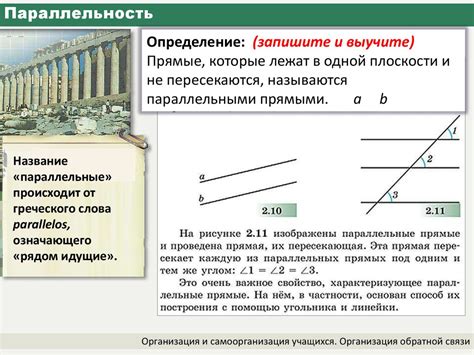 Определение и свойства параллельных линий