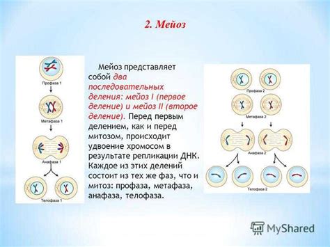 Определение и смысл ангажированного мнения