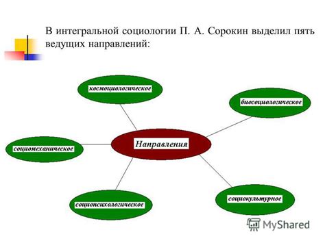 Определение и суть социологии