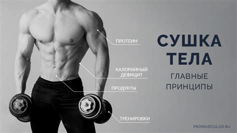 Определение и цель сушки тела