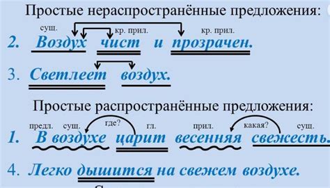 Определение нераспространенных предложений