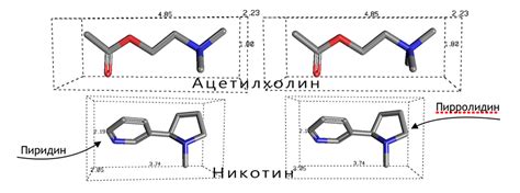 Определение никотин mix