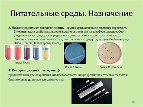 Определение патогенного элемента в микробиологии