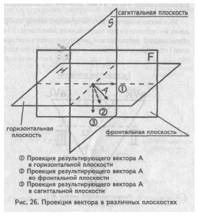 Определение понятия "альфа"