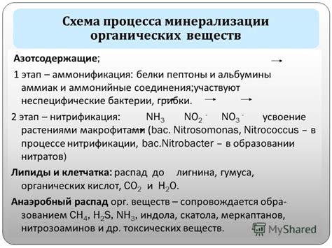 Определение процесса минерализации органических веществ