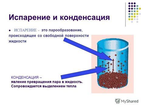 Определение процесса укорачивания