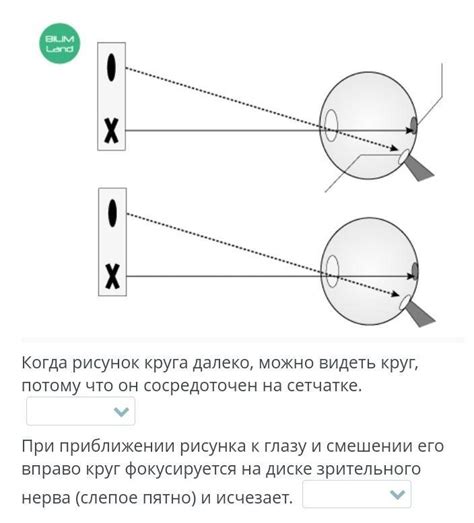 Определение слепого конца