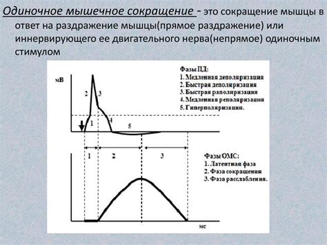 Определение сокращения UPD