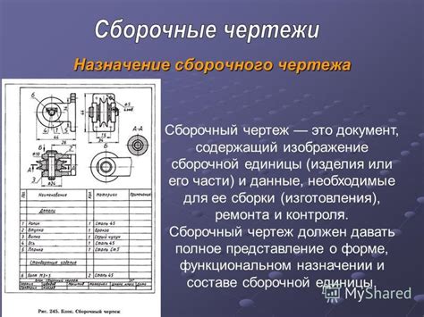 Определение соски и его назначение