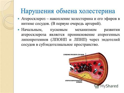 Определение холестерина и его роль