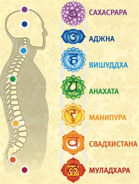 Определение чакр и их значение в жизни человека