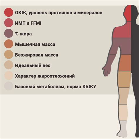 Определение kit или body: расшифровка и различие