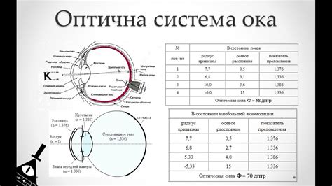 Оптимальный радиус кривизны для комфортного ношения