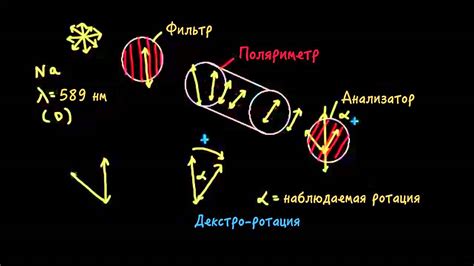 Оптическая активность: понятие и примеры