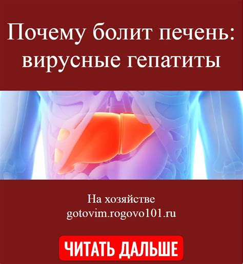 Опухшая печень: поводы, признаки и терапия