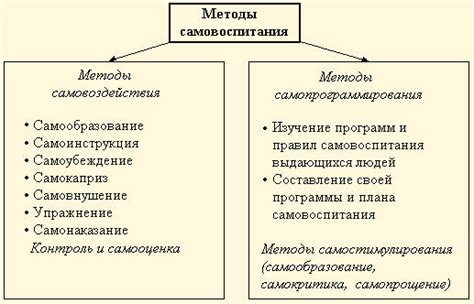 Опыт и возможности самосовершенствования