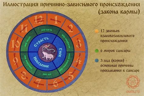 Организационная структура колеса сансары