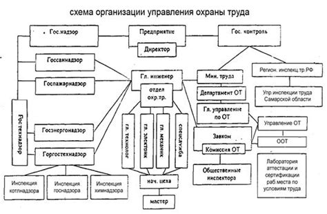 Организация: принципы и советы