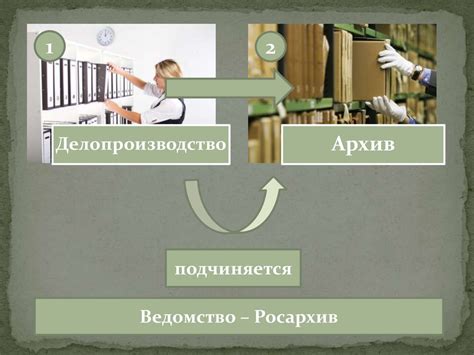 Организация архивного дела: основные принципы и методы