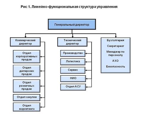 Организация и структура