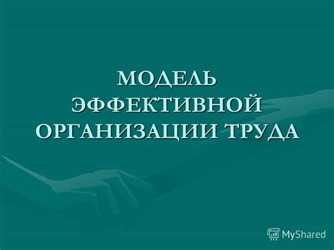 Организация работы: важность эффективной организации труда