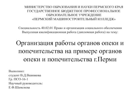 Организация работы службы опеки