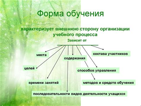 Организация учебного процесса: профессиональные способности и навыки