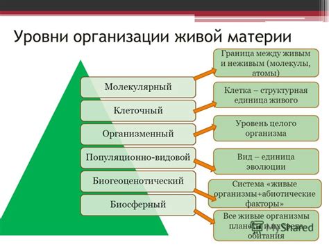 Организмы: значение и значение для науки