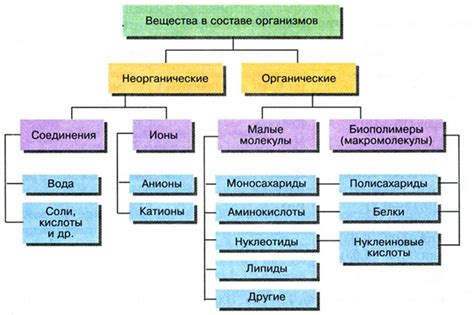 Органические вещества клетки: понятие и роль