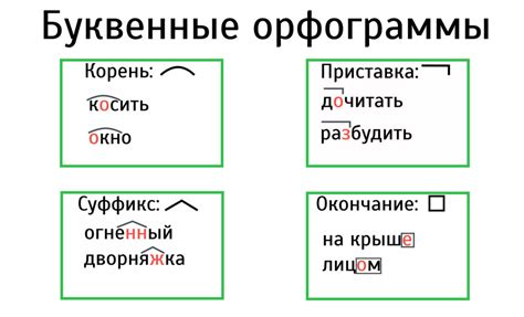 Орфограмма: определение и основные понятия