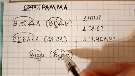 Орфограмма: что это и зачем она нужна?